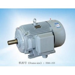 專業(yè)的閥門電機，哪里可以買到精湛的YE2系列三相異步電動機