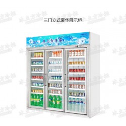 冷柜廠(chǎng)家直銷(xiāo) 便利店三門(mén)飲料冷藏展示柜 冰立方冷柜