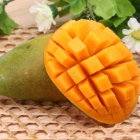 芒果皮要代替塑料？