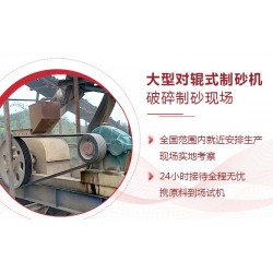 對(duì)輥式破碎機(jī)品牌廠家哪里有？（推*這家）ds0xs