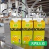 手動(dòng)型果汁灌裝機(jī)設(shè)備 沈陽北亞灌裝機(jī)廠家