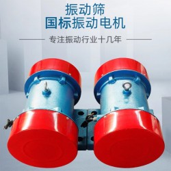 立臥式交流調(diào)速電動(dòng)機(jī) 節(jié)能電機(jī)