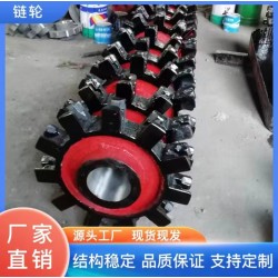 斗式提升機(jī)鏈輪 可按需定制